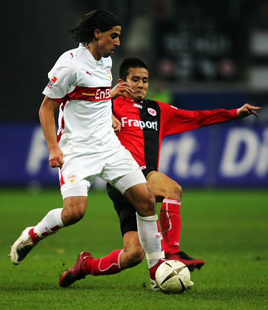 擎与数据模 擎与数据模